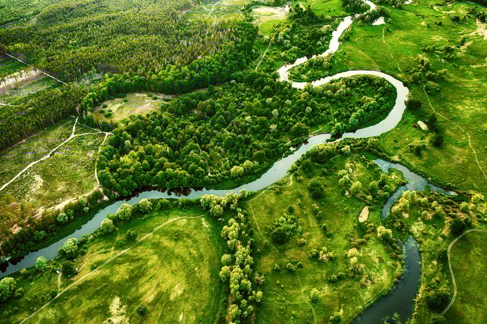 BBJ Wetland Conservation 3