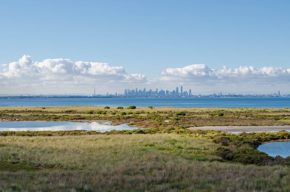 BBJ Wetland Conservation 2